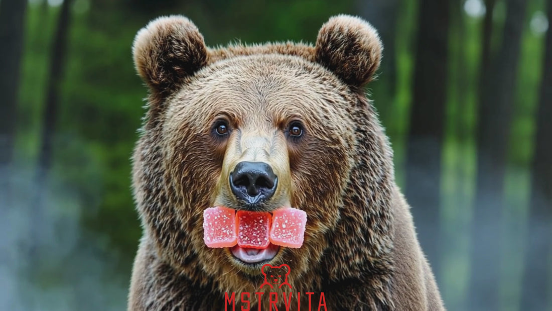 Creatine a monohydrate Gummies being chewed by Grizzly Bear
